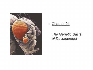 The%20Genetic%20Basis%20of%20Development
