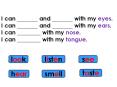 I can _______ and _______ with my eyes. PowerPoint PPT Presentation