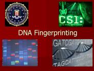 DNA%20Fingerprinting