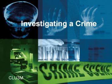 Investigating a Crime