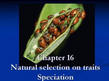 Chapter 16 Natural selection on traits Speciation