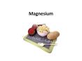 Magnesium PowerPoint PPT Presentation