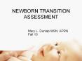 NEWBORN TRANSITION ASSESSMENT PowerPoint PPT Presentation