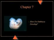 How Do Embryos Develop?