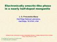 Electronically smectic-like phase in a nearly half-doped manganite PowerPoint PPT Presentation