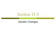 Genetic Changes