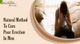Effective Natural Method To Cure Poor Erection Problem In Men PowerPoint PPT Presentation
