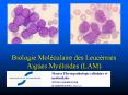 Biologie Mol PowerPoint PPT Presentation