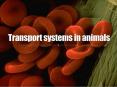 Transport systems in animals PowerPoint PPT Presentation