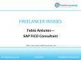 Fabio Antunes - SAP FI/CO Consultant PowerPoint PPT Presentation