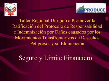 Taller Regional Dirigido a Promover la Ratificaci