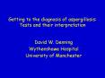 Getting to the diagnosis of aspergillosis: Tests and their interpretation PowerPoint PPT Presentation