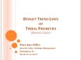 Budget Trend Lines of Tribal Priorities (Report Card) PowerPoint PPT Presentation