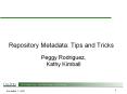 Repository Metadata: Tips and Tricks PowerPoint PPT Presentation