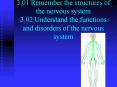 3.01 Remember the structures of the nervous system 3.02 Understand the functions and disorders of the nervous system PowerPoint PPT Presentation