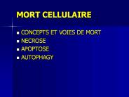 MORT CELLULAIRE