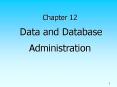 Chapter 12 Data and Database Administration PowerPoint PPT Presentation