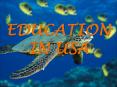 EDUCATION IN USA PowerPoint PPT Presentation