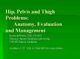 Hip, Pelvis and Thigh Problems: Anatomy, Evaluation and Management PowerPoint PPT Presentation