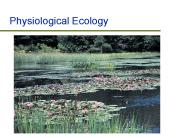 Physiological Ecology