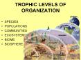 TROPHIC LEVELS OF ORGANIZATION PowerPoint PPT Presentation