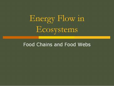 Energy Flow in Ecosystems