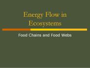 Energy Flow in Ecosystems