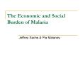 The Economic and Social Burden of Malaria PowerPoint PPT Presentation