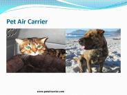 Pets Travel Services International