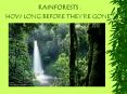 RAINFORESTS%20:%20HOW%20LONG%20BEFORE%20THEY PowerPoint PPT Presentation