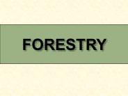 FORESTRY