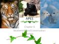 APES PowerPoint PPT Presentation