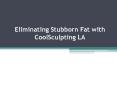 Coolsculpting Los Angeles (2) PowerPoint PPT Presentation