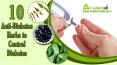 Anti-Diabetic Herbs for Diabetes Control - Lower High Blood Sugar Levels PowerPoint PPT Presentation