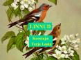 LINNUD PowerPoint PPT Presentation
