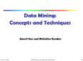 Data Mining: Concepts and Techniques PowerPoint PPT Presentation