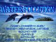 WATER POLLUTION PowerPoint PPT Presentation