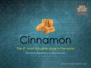 Cinnamon & True Cinnamon