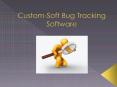 Custom-Soft  Bug Tracking Software PowerPoint PPT Presentation
