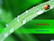 Long Island social media marketing (2)