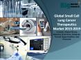 2019 Small Cell Lung Cancer Therapeutics Market Size, Share Trends, Demand & Forecast PowerPoint PPT Presentation