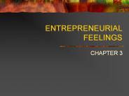 ENTREPRENEURIAL%20FEELINGS
