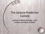 The Seizure Prediction Contest