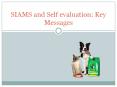 SIAMS and Self evaluation: Key Messages PowerPoint PPT Presentation