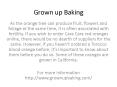 grown up baking PowerPoint PPT Presentation
