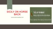 High Mountain Horse Trekking