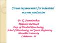 Strain improvement for industrial         enzyme production Dr. K. Swaminathan Professor and Head Dept. of Microbial Biotechnology   School of Biotechnology and Genetic Engineering Bharathiar University Coimbatore - 46 PowerPoint PPT Presentation