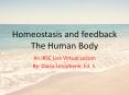 Homeostasis and feedback The Human Body PowerPoint PPT Presentation