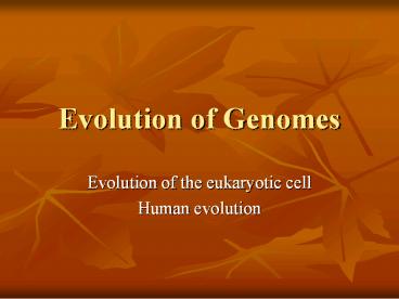 Evolution of Genomes