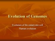 Evolution of Genomes